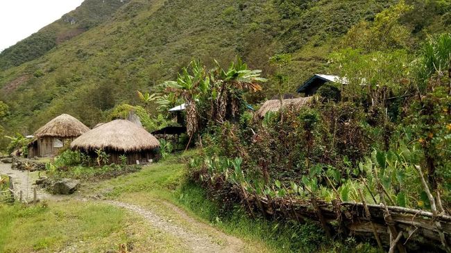 Jiwika adalah salah satu kampung adat di Wamena yang aksesnya cukup baik.
