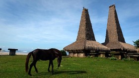 Jadwal Lengkap Festival di NTT Sepanjang Tahun 2018