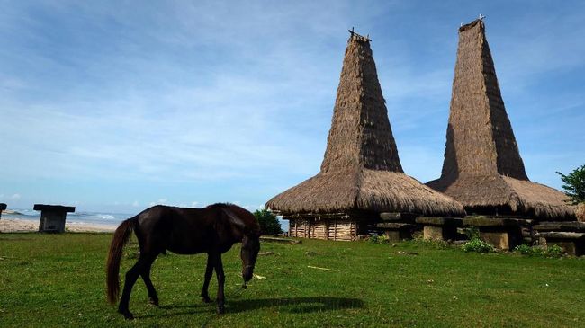 Jadwal Lengkap Festival di NTT Sepanjang Tahun 2018