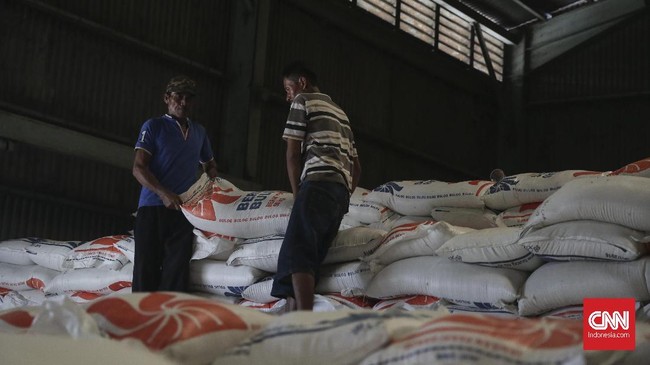 Menteri Koordinator Perekonomian Darmin Nasution memproyeksi beras nasional mengalami surplus sekitar 2,8 juta ton, atau lebih rendah dari tahun sebelumnya.