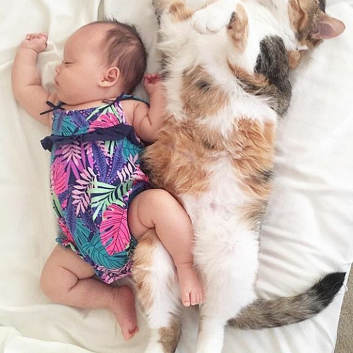 <p>Pose tidurnya sama-sama bebas, kaki terbuka dan kedua tangan ke atas. Gemas banget! (Foto: Instagram @preciousember)  </p>