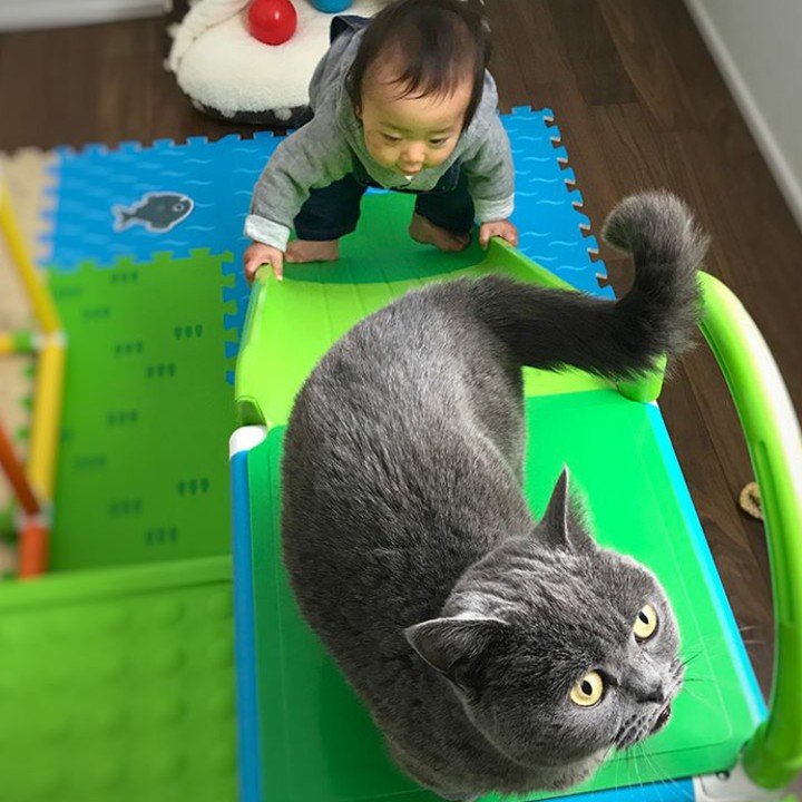 <p>Naik perosotan bareng nih sama si mpus. (Foto: Instagram @r.minamiii)</p>