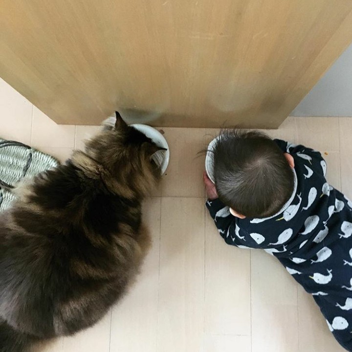 <p>Kalau yang ini sebenarnya lucu, tapi lebih baik jangan ditiru sama si kecil ya, Bun. Hi-hi-hi. (Foto: Instagram @smallstore31)</p>