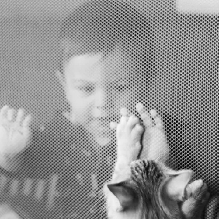 <p>Memelihara hewan juga ngaruh banget ke kehidupan sosial anak lho. (Foto: Instagram lusonrie)</p>