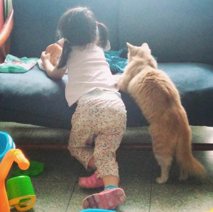 <p>Kocak deh, kucingnya ikut-ikutan pose si kecil. (Foto: Instagram @leonamendi)</p>
