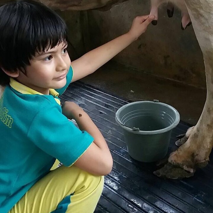 <p>Lagi memerah susu sapi nih. (Foto: Instagram @kingfaazarafiqasli)</p>