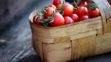 CAMILAN DIET INI MENGANDUNG KURANG DARI 200 KALORI BUN