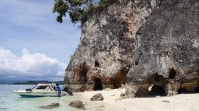 'Olesio' Banggai Laut