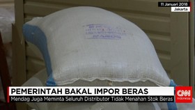 Pemerintah Bakal Impor Beras