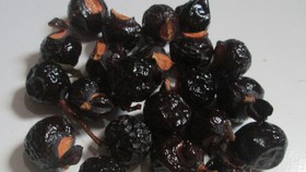 Buah Lerak, Si Buah Banyak Manfaat