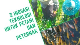 5 Inovasi untuk Petani dan Peternak