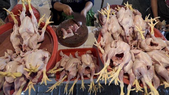 Pedagang pasar di DKI membenarkan bahwa harga daging ayam turun, namun tidak ada yang dijual seharga Rp20 ribuan per ekor.