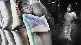 Salahkah Rencana Pemerintah Impor Beras 2 Juta Ton Tahun Ini?