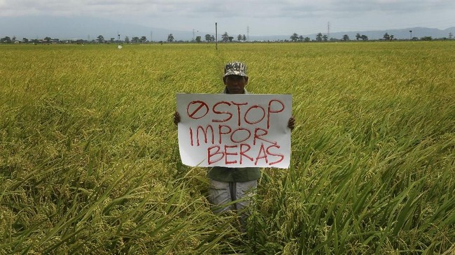 Kepala Penelitian CIPS Hizkia Respatiadi menyebut pembatasan impor pada 1.147 jenis barang akan mengancam suplai dan harga ya di sektor pangan.