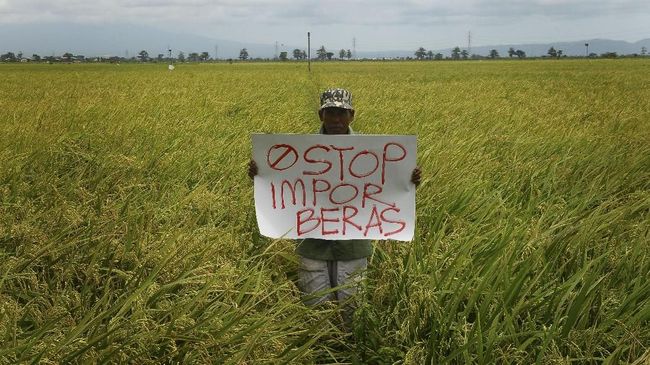 Pemerintah Terbitkan Izin 'Kedua' Impor Beras Jadi 1 Juta Ton