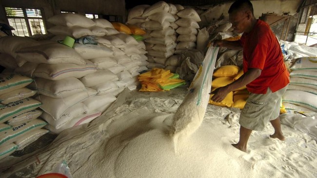 Pemerintah akan kembali mengimpor beras jika produksi panen raya Maret-Mei tidak mencukupi cadangan beras pemerintah (CBP).