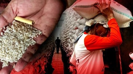 Sengkarut Impor Beras