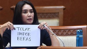 DPR Bentuk Tim Pengawas Impor Beras