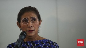 Susi soal Wacana Keran Ekspor Benih Lobster Mau Dibuka Lagi: Gila Saja