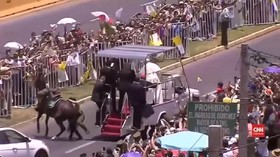 VIDEO: Saat Paus Menolong Polisi Cile yang Jatuh dari Kuda