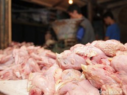 Harga Sembako Jogja Hari Ini 9 Februari 2026: Daging-Telur Ayam Makin Mahal!