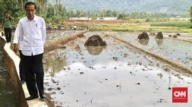 Opsi Jokowi Relokasi Warga Asmat Ditolak, Pembangunan Dikebut