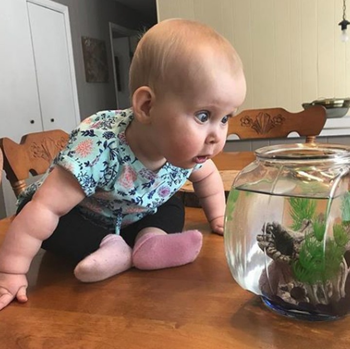 <div>Begini jadinya kalau si kecil baru pertama kali lihat aquarium. (Foto: Instagram @Samdavidson21)</div>