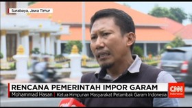 Rencana Impor Garam