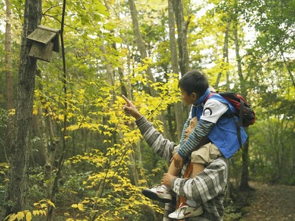 Rekreasi ke Hutan Banyak Manfaatnya buat Anak Lho