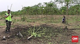 Roket Jatuh dan Meledak di Kebun Pepaya Warga Lumajang