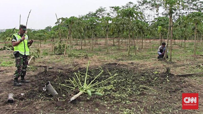 Tak ada korban dalam kejadian tersebut karena saat kejadian kebun tengah kosong. Anggota TNI masih menyelidiki insiden tersebut.