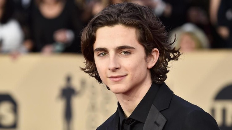 ROME, ITALY - JANUARY 24:  Actor Timothee Chalamet attends 'Chiamami Col Tuo Nome (Call Me By Your Name)' photocall at De Russie Hotel on January 24, 2018 in Rome, Italy.  (Photo by Contigo/Getty Images)