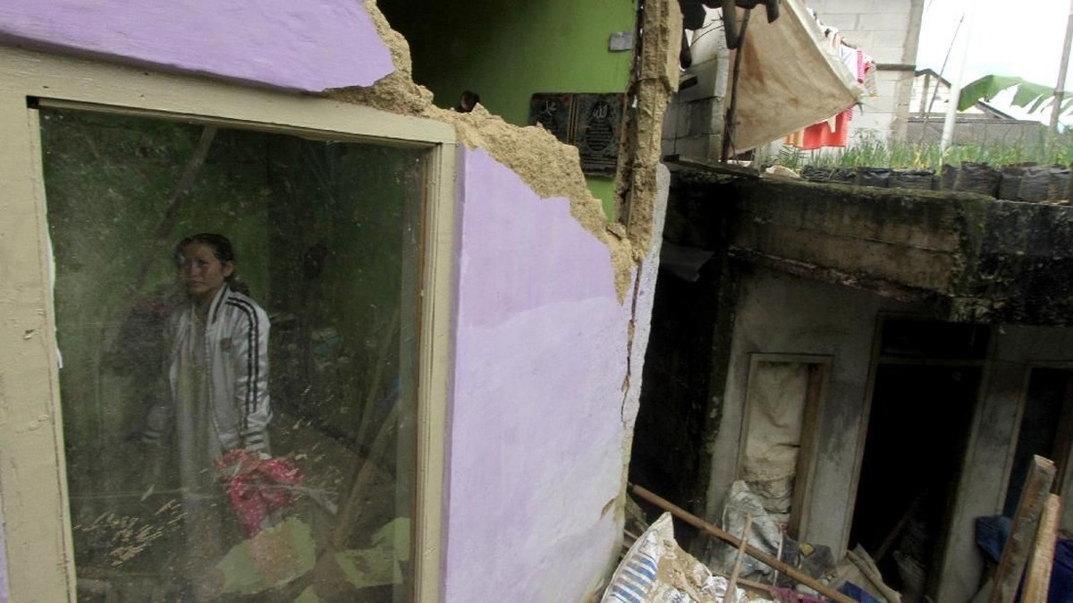 FOTO: Kala Kebun Teh Jadi Tempat Mengungsi dari Gempa