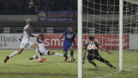 Mario Gomez Coba Peran Baru Supardi di Persib