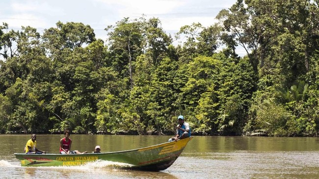 Anggota Komisi IV DPR soroti pembabatan hutan mangrove 3 hektare di Kendari untuk pembangunan rumah pribadi.
