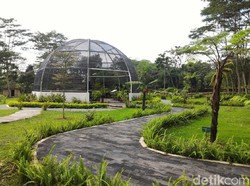 Selamat! Indrokilo di Boyolali Jadi Kebun Raya Terbaik di Indonesia