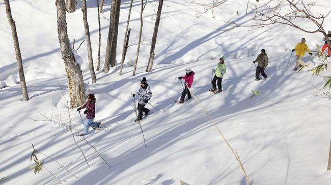 Tidak banyak orang yang tahu jika ingin bepergian untuk bermain ski, waktu terbaiknya adalah bulan Maret.