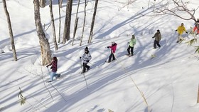 Destinasi Ski Terbaik Bulan Maret