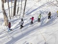 Destinasi Ski Terbaik Bulan Maret