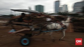 FOTO: Pacu Kuda Delman Ibu Kota