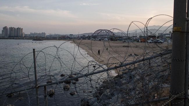 Pantai itu tidak buka 24 jam, karena setiap hari anggota militer yang berjaga di DMZ bakal membuka dan menutup pagar kawat yang membatasi