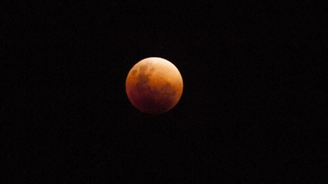 Ada beberapa fenomena alam yang akan terjadi sepanjang 2019 mulai dari gerhana bulan parsial hingga hujan meteor.