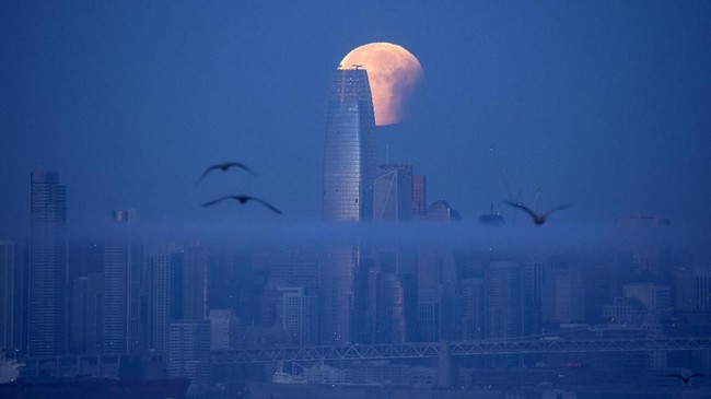 Fenomena Gerhana Bulan Total Super Blood Moon yang terjadi pada 26 Mei mendatang bisa disaksikan lansung tanpa alat bantu.