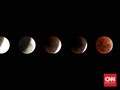 Beda Gerhana Bulan Total Sabtu Dini Hari dan 31 Januari Lalu