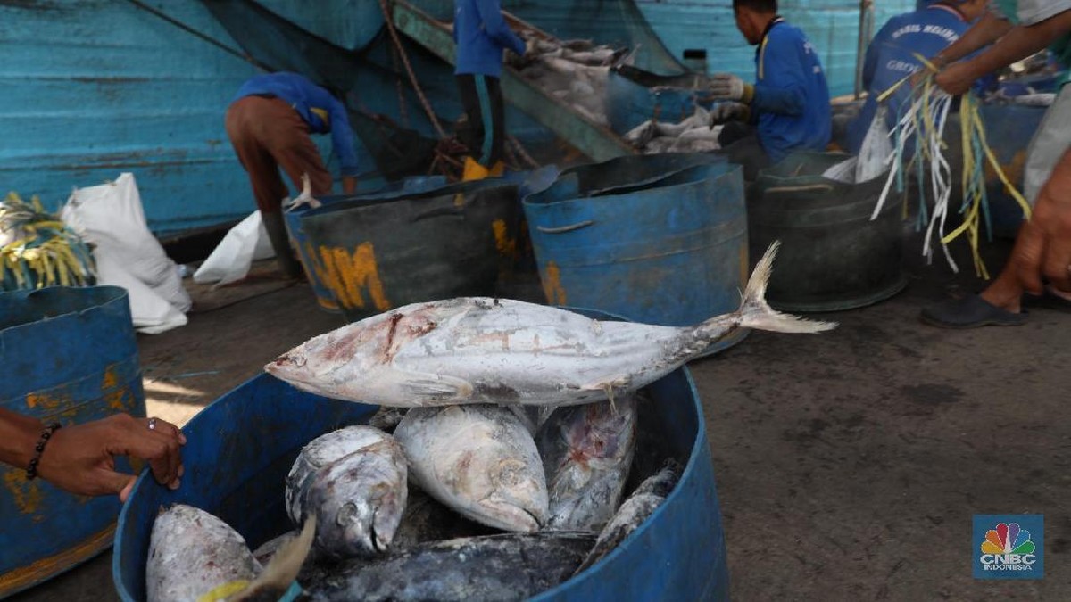 Ikan Favorit RI Mengandung 1.600 Parasit, Lakukan Ini Sebelum Makan