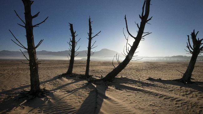 Kelaparan di Madagaskar, Warga Terpaksa Makan Belalang-Kaktus Serangga hingga tanaman seperti daun kaktus menjadi makanan sehari-hari warga di selatan Madagaskar yang bertahan di tengah kekeringan.