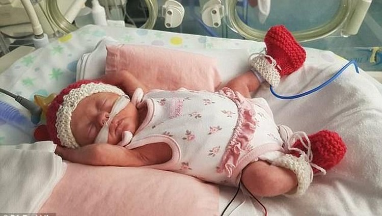 Bayi ini lahir pada saat orang tuanya melakukan babymoon lho.
