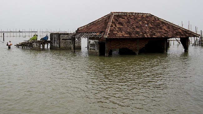 DEMAK, INDONESIA – 2 FEBRUARI: Sebuah rumah yang ditinggalkan penghuninya karena tenggelam akibat banjir luapan air laut terlihat di Dusun Nyangkringan, Desa Sriwulan, Sayung, Demak, Jawa Tengah pada 2 Februari 2018. Berdasarkan data Dinas Kelautan dan Perikanan setempat, tingginya gelombang abrasi pantai yang dipicu semakin berkurangnya kawasan mangrove telah menerjang pesisir Semarang dan mengikis hingga 1,4 kilometer daratan selama kurun waktu 20 tahun terakhir. Perubahan iklim juga menyebabkan permukaan air laut naik setinggi 4mm per tahun karena es di kutub mencair menyebabkan lautan memanas dan meluas.

 ( Eko Siswono Toyudho - Anadolu Agency )