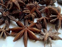 Bukan Rempah Biasa, Bunga Lawang Bisa Usir 3 Hewan Ini dari Rumah