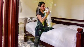 FOTO: Sang Pelindung Kucing Terlantar